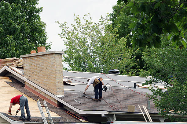 Best Roof Gutter Cleaning  in Audubon Park, KY